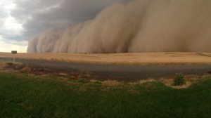 haboob1